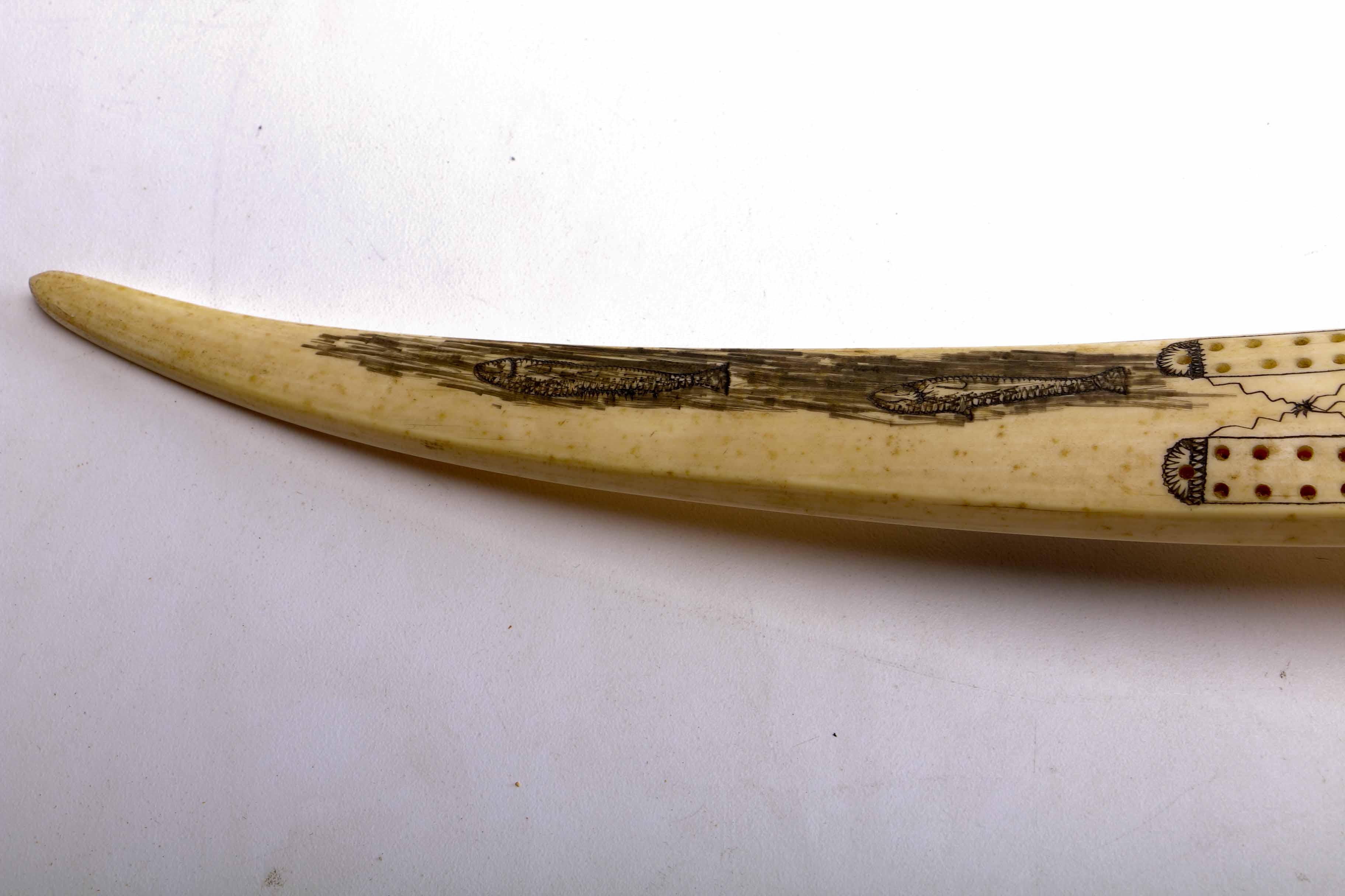 Bone Scrimshaw Cribbage Board