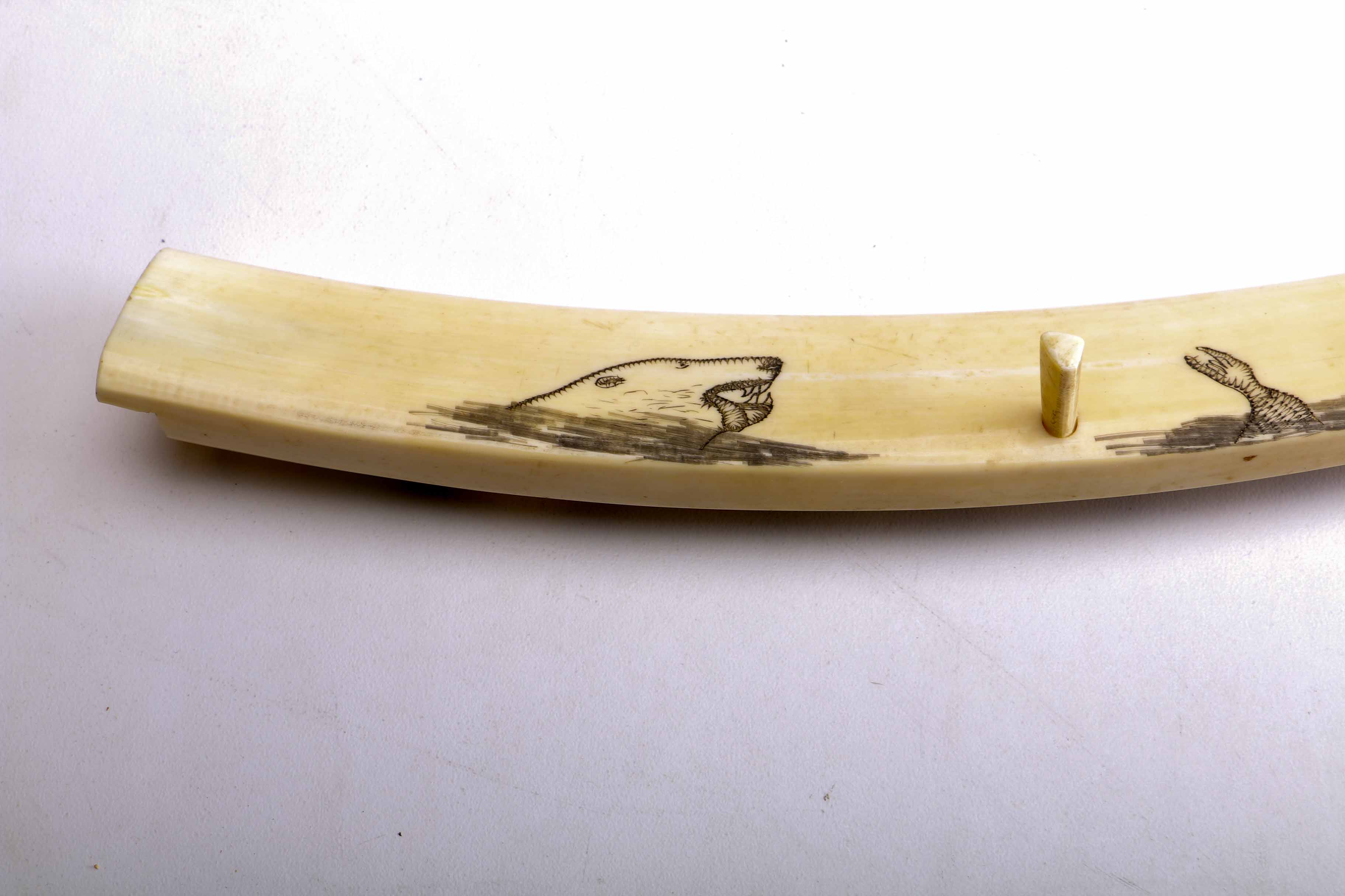 Bone Scrimshaw Cribbage Board