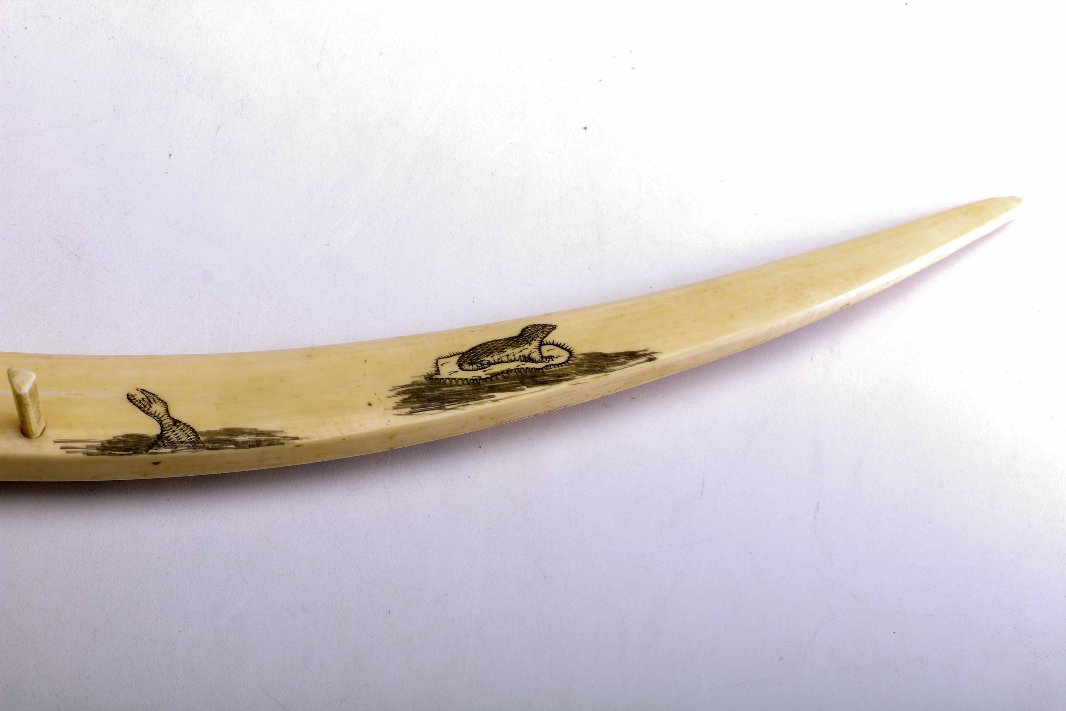 Bone Scrimshaw Cribbage Board