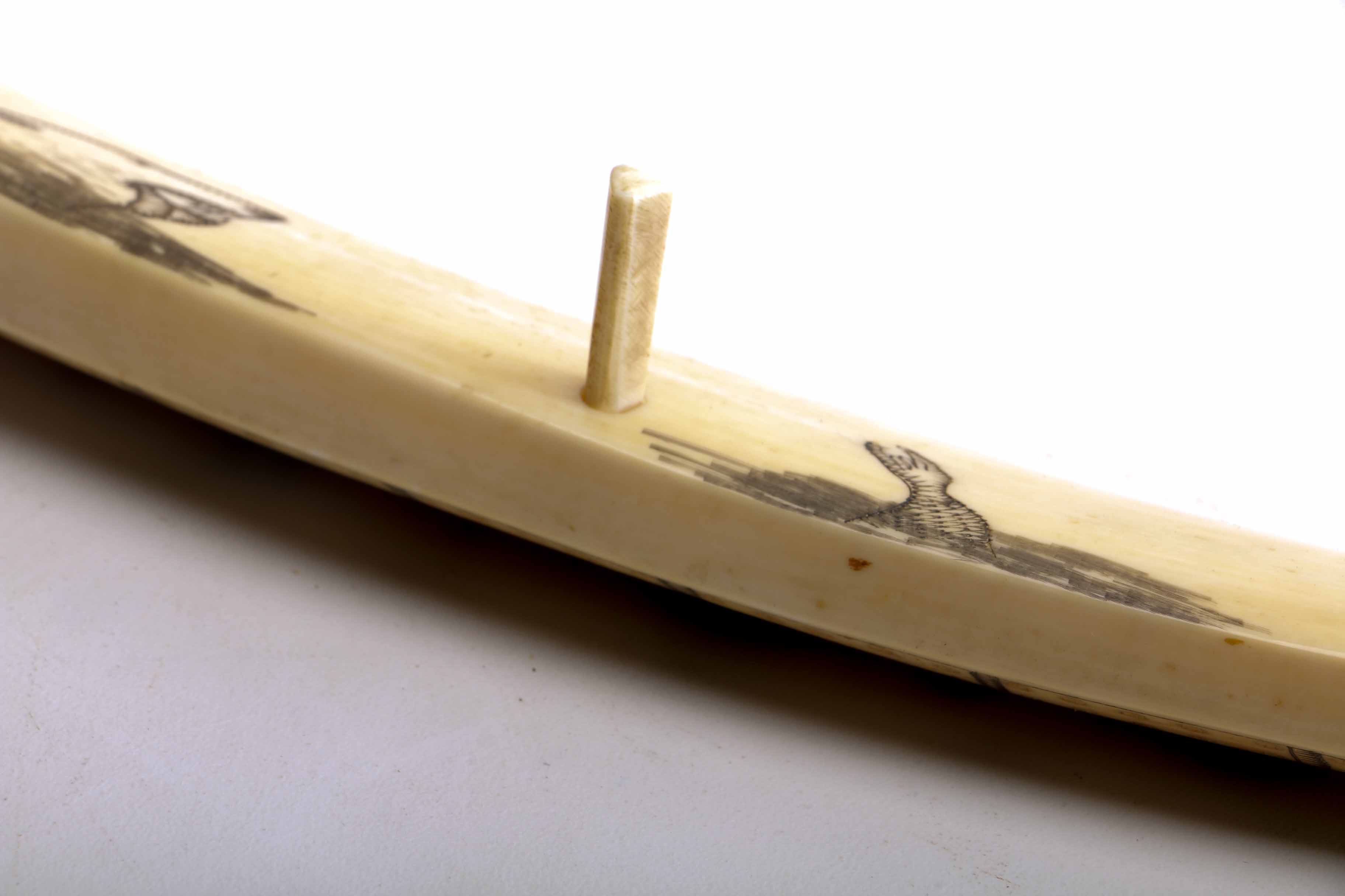 Bone Scrimshaw Cribbage Board