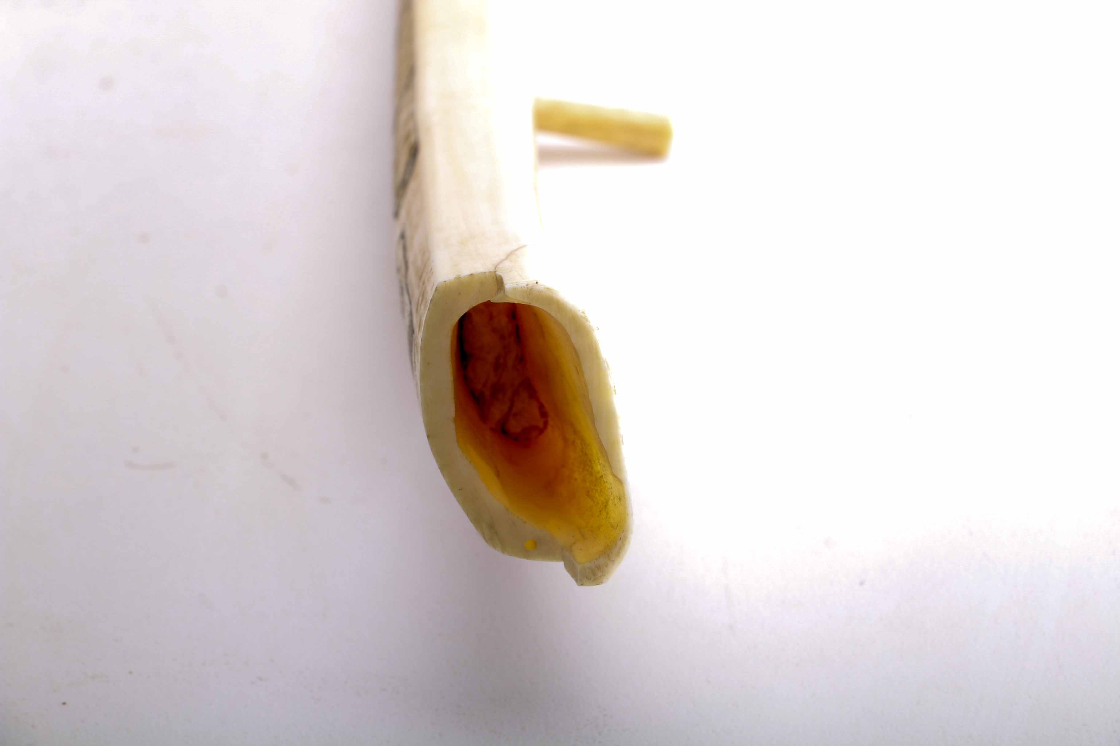 Bone Scrimshaw Cribbage Board