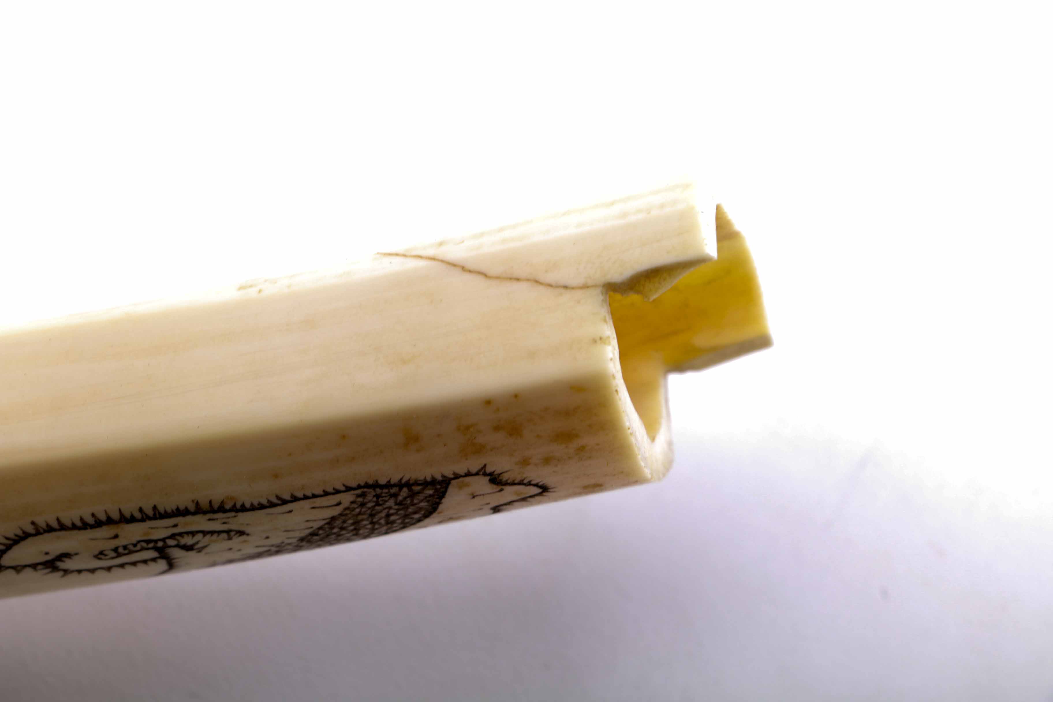 Bone Scrimshaw Cribbage Board