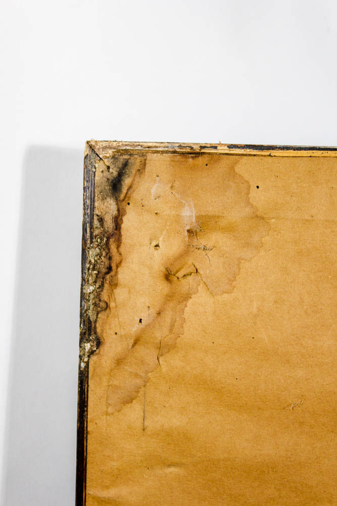 Ezzard Charles and Rocky Marciano Boxing Photograph