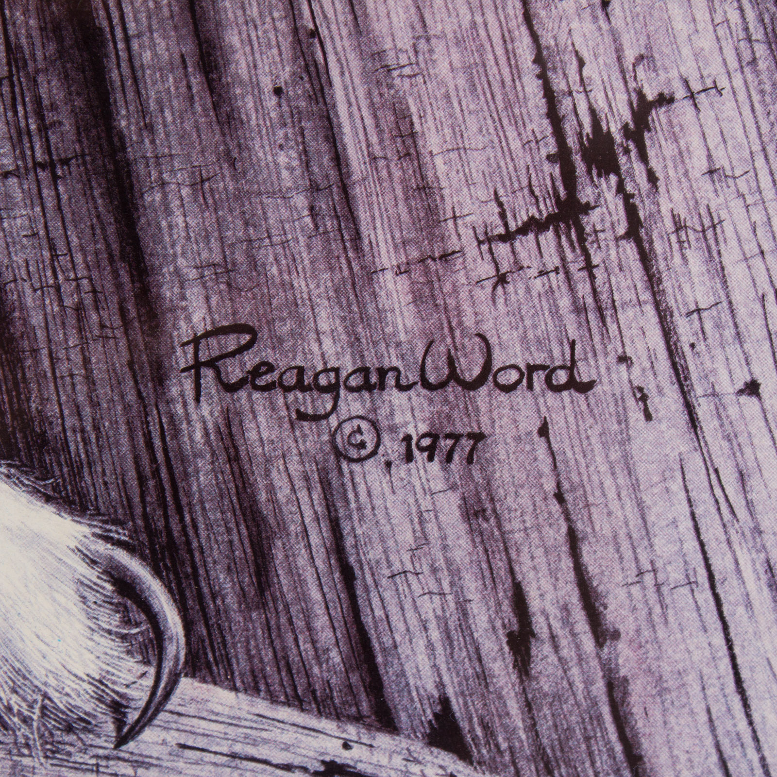 Reagan Ward "Snowy Owl" Signed Limited Edition Offset Lithograph