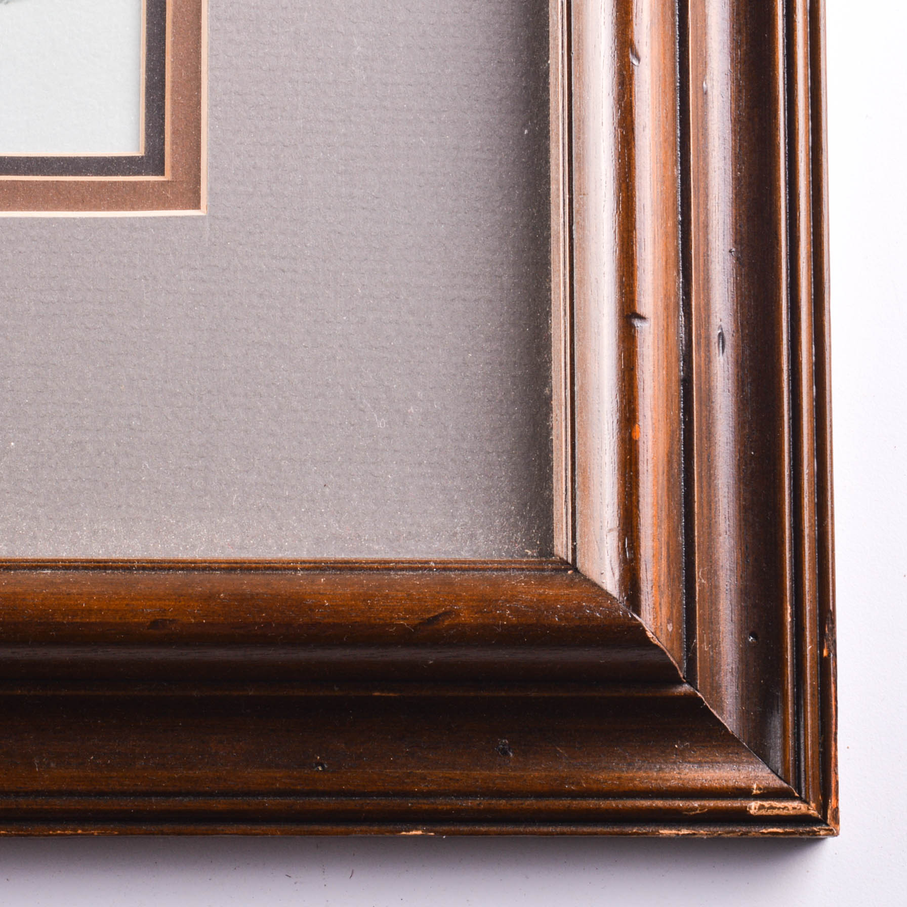 Harold Rigsby Signed Limited Edition Wildlife Prints