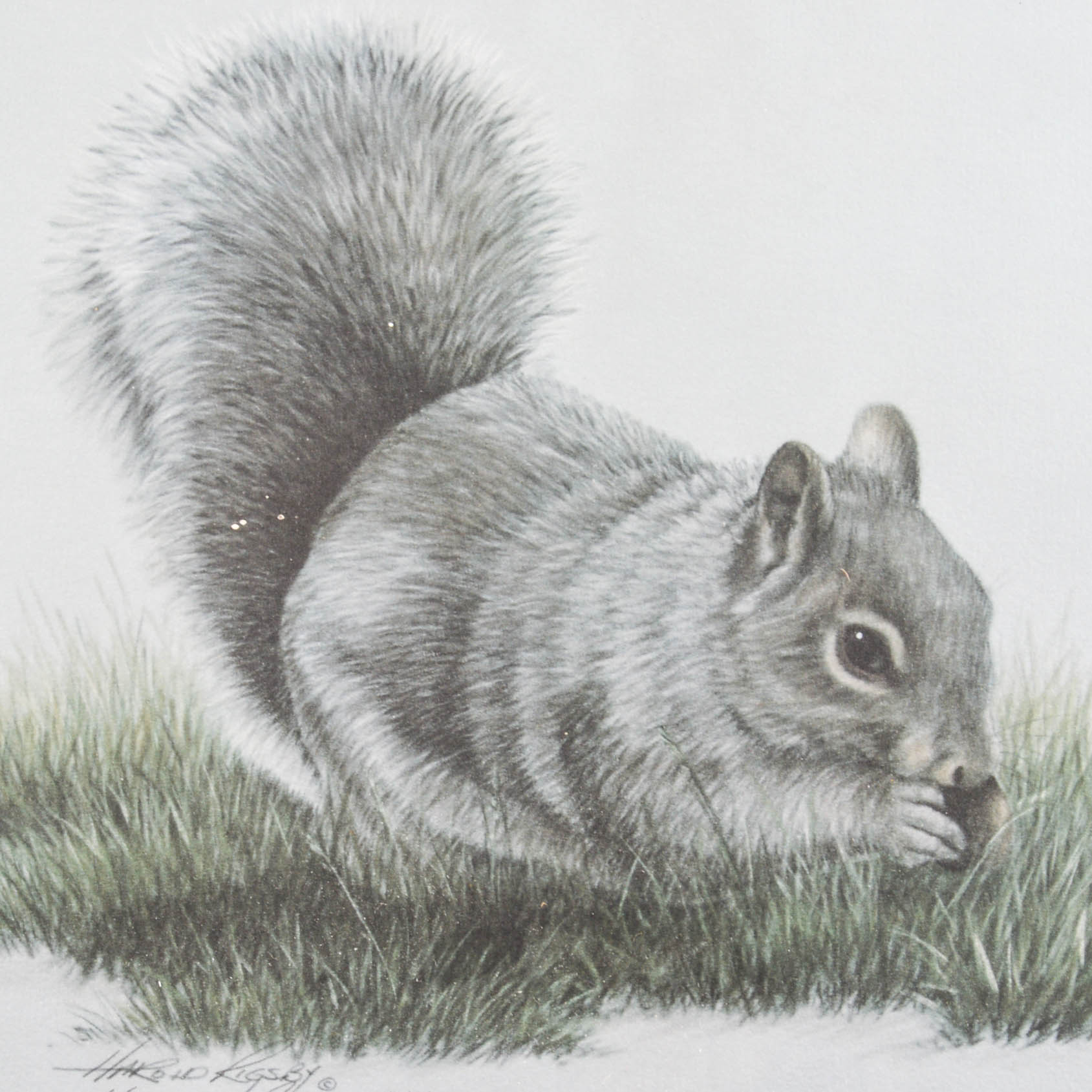 Harold Rigsby Signed Limited Edition Wildlife Prints