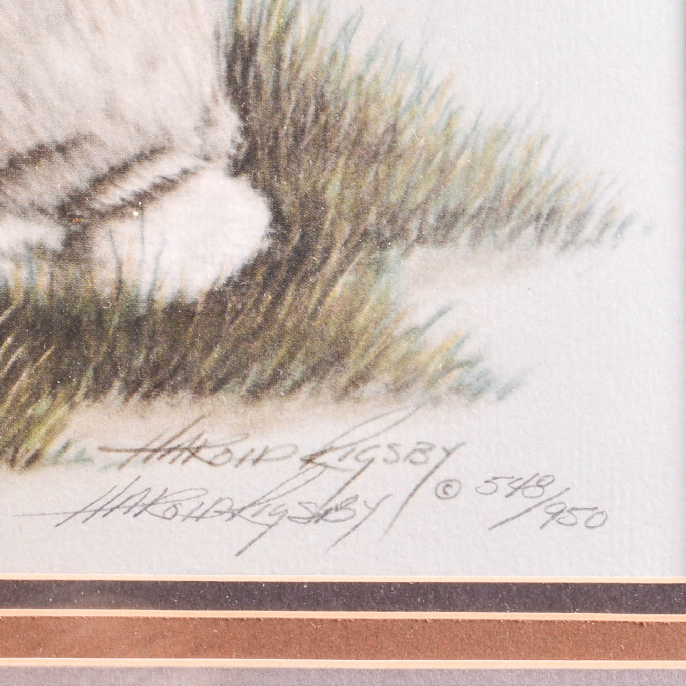 Harold Rigsby Signed Limited Edition Wildlife Prints