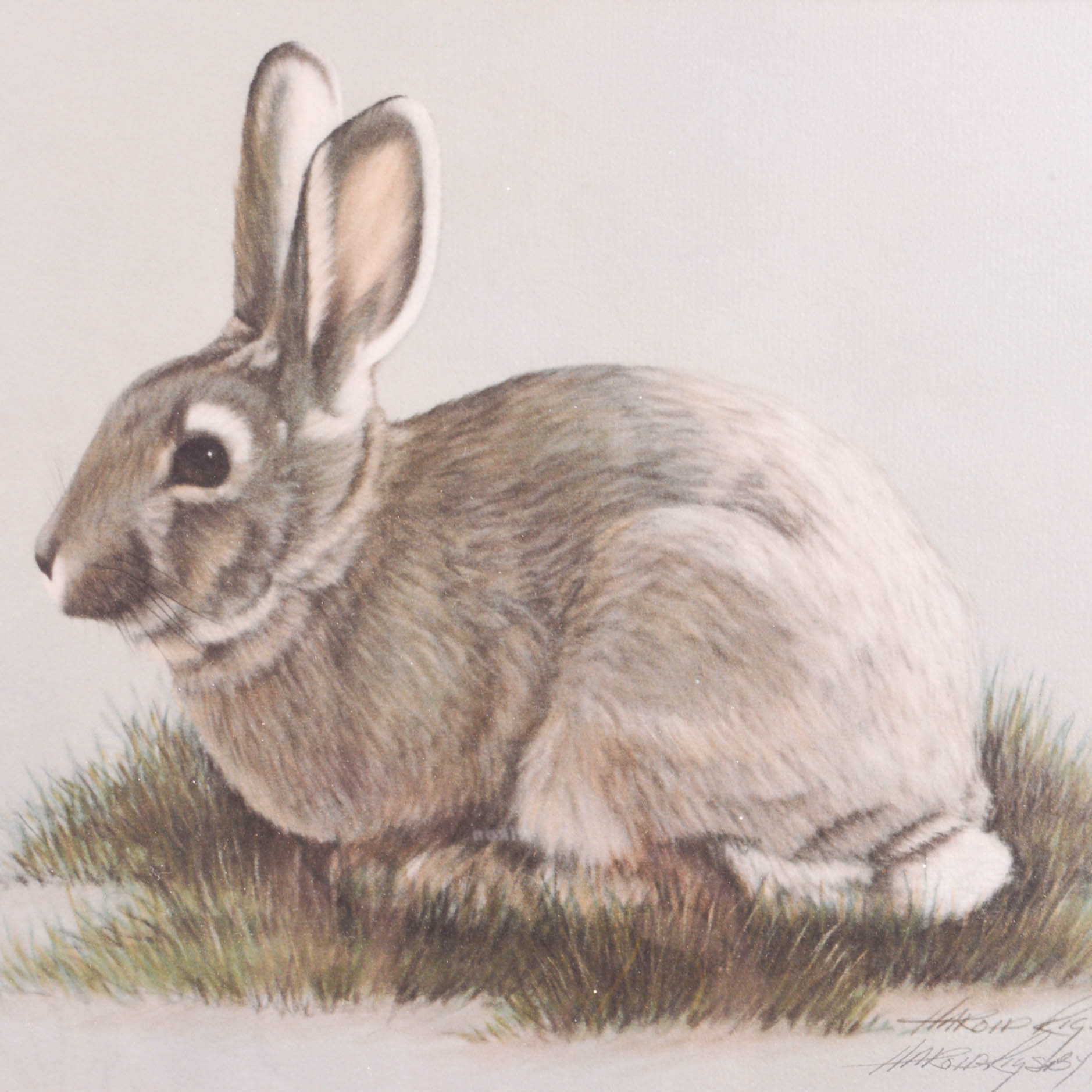 Harold Rigsby Signed Limited Edition Wildlife Prints