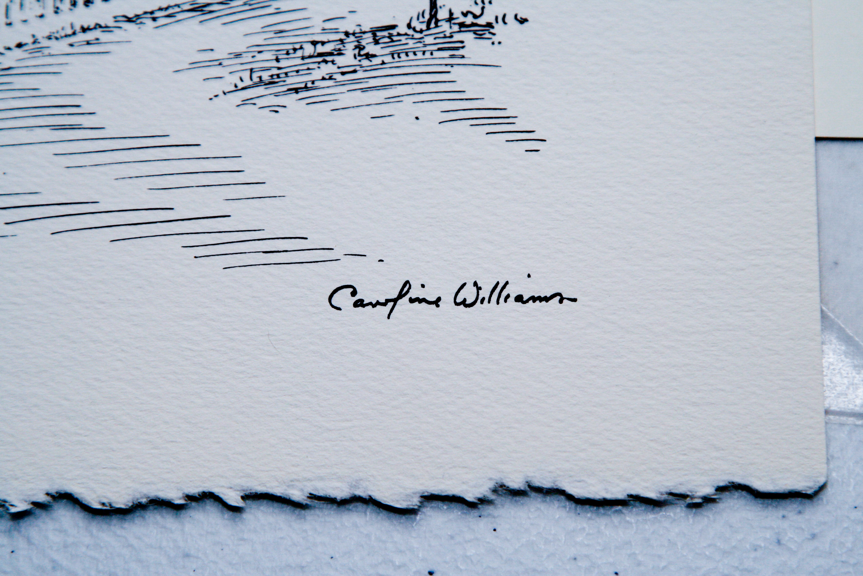 Collection of Caroline Williams Historic Cincinnati Prints