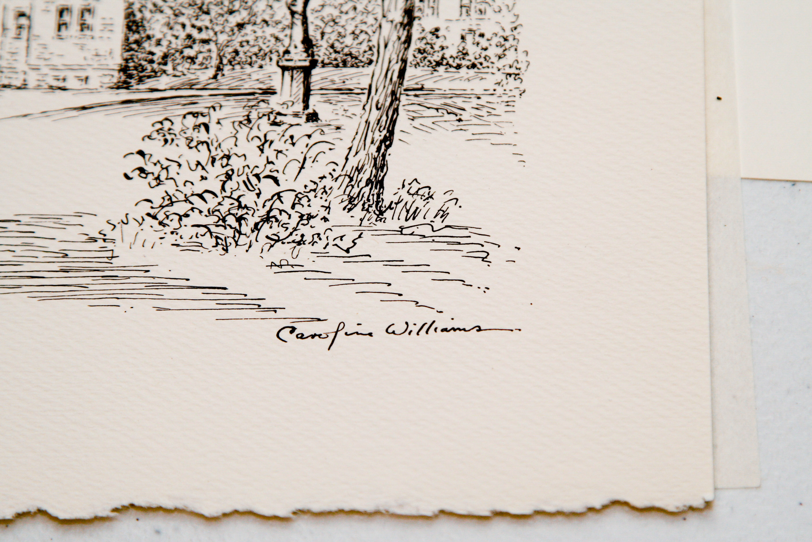 Collection of Caroline Williams Historic Cincinnati Prints