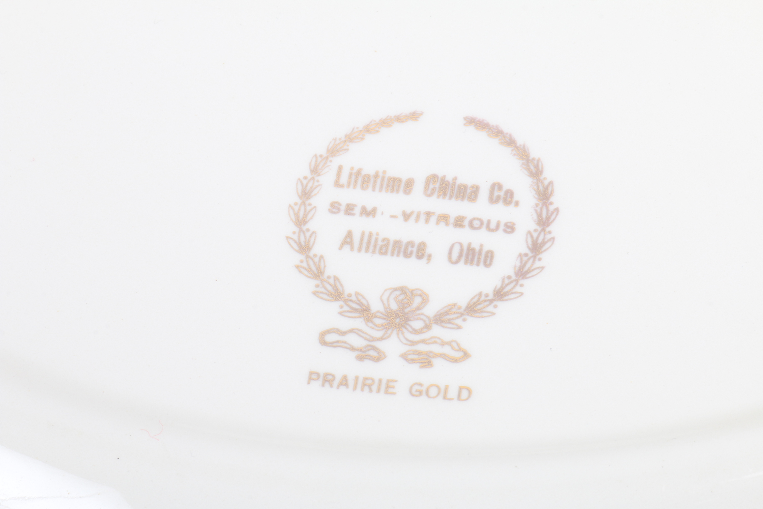 Lifetime "Prairie Gold" China Tableware Set