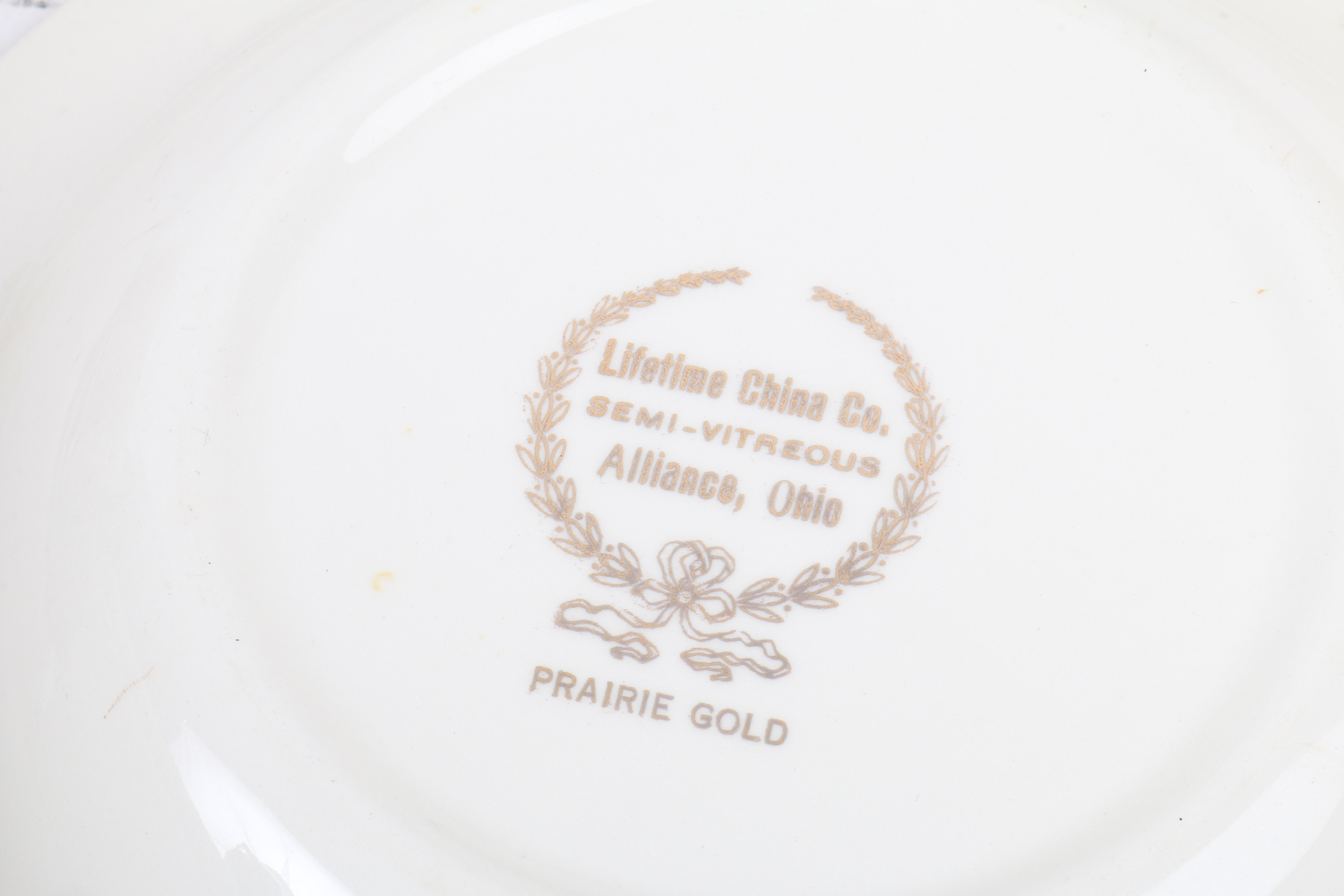 Lifetime "Prairie Gold" China Tableware Set