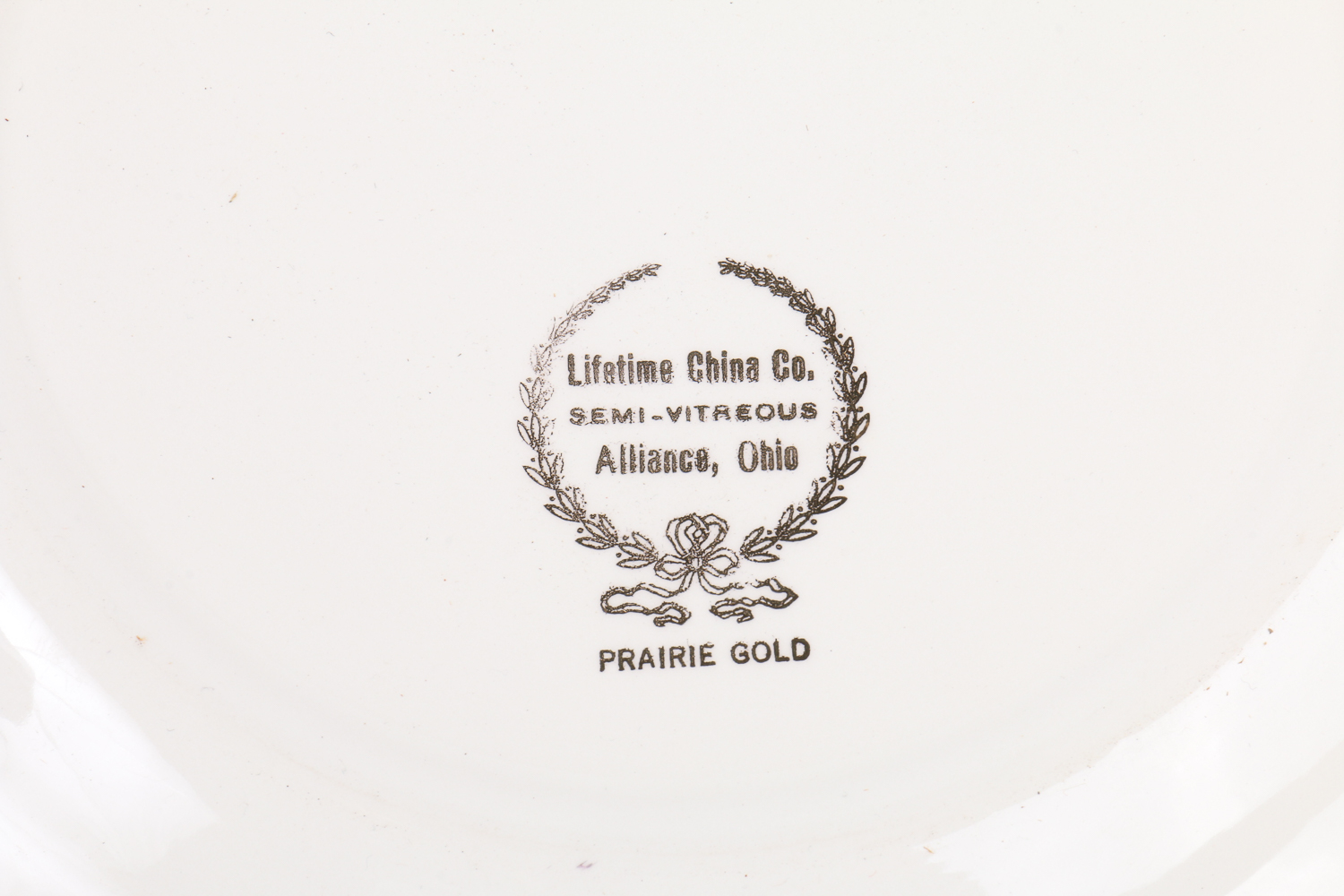 Lifetime "Prairie Gold" China Tableware Set