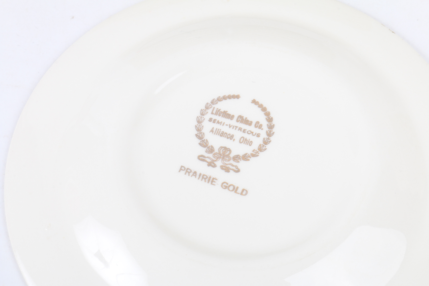 Lifetime "Prairie Gold" China Tableware Set