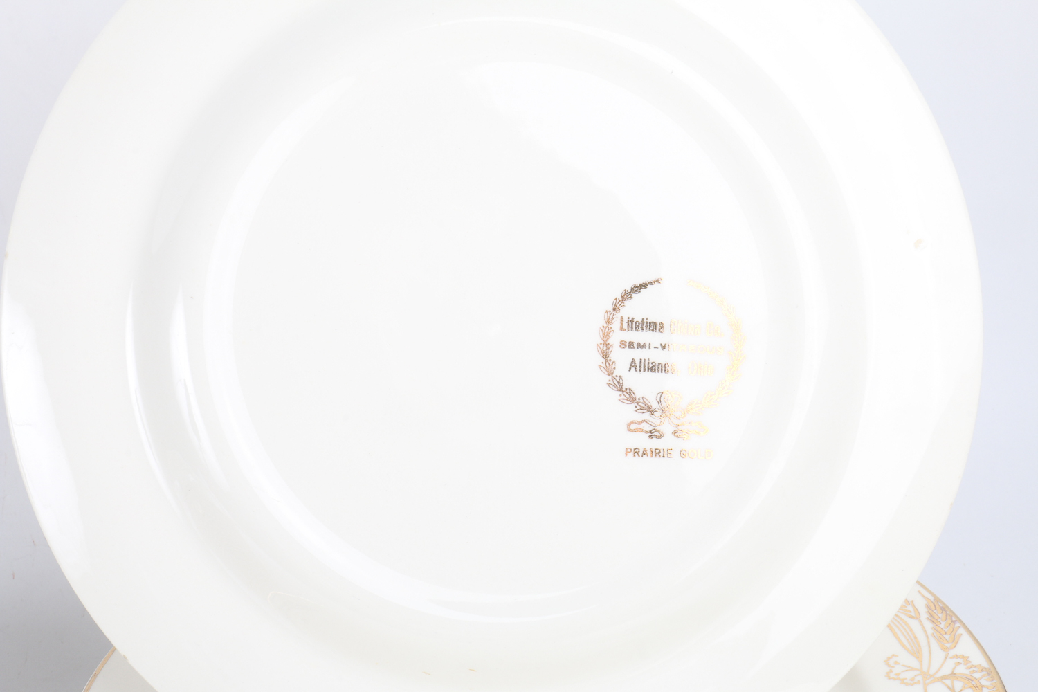 Lifetime "Prairie Gold" China Tableware Set