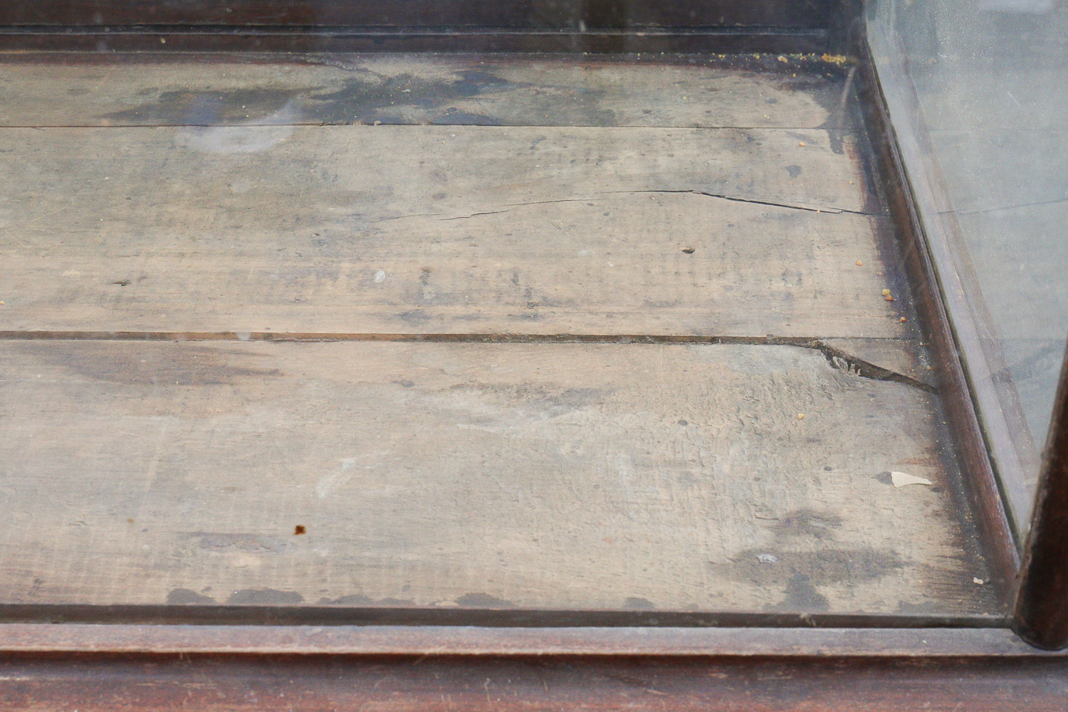 Antique Glass Display Cabinet