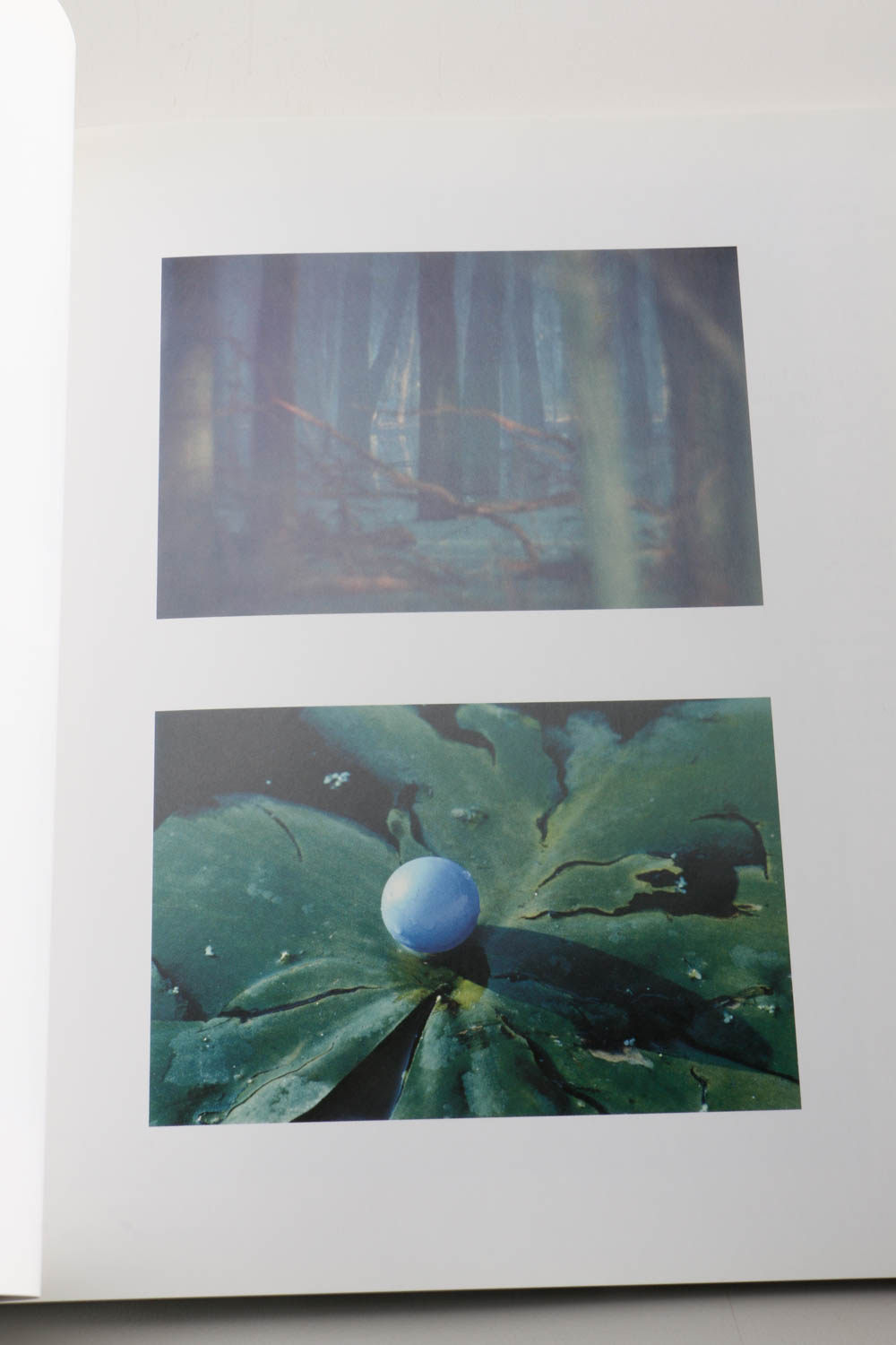 Books and Exhibition Catalogs on Contemporary Sculpture