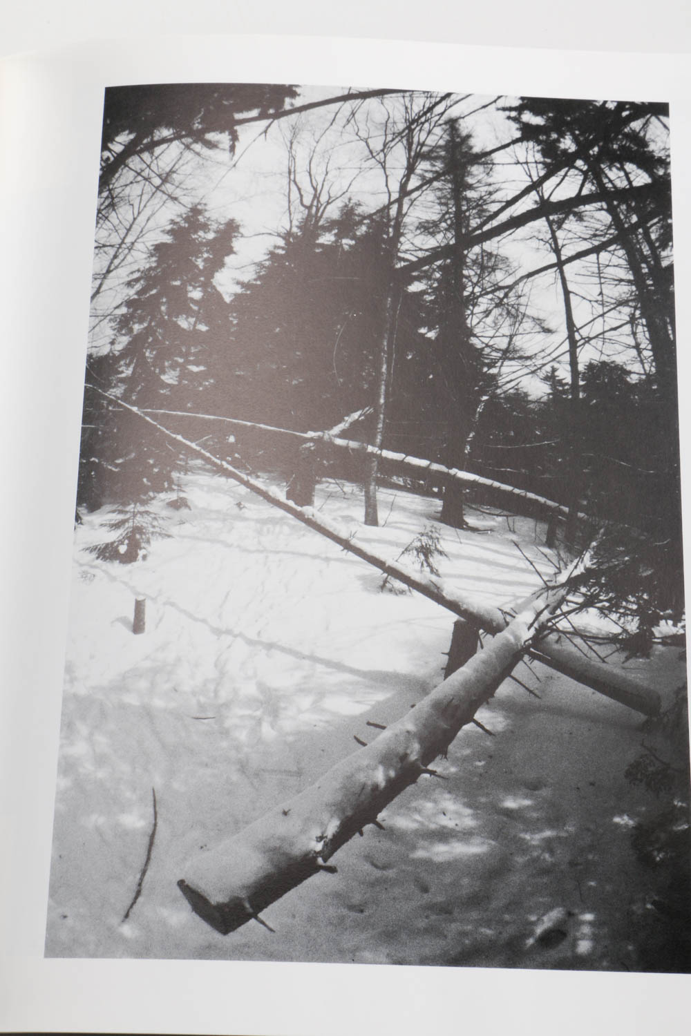 Books and Catalogs on Modern Sculptors