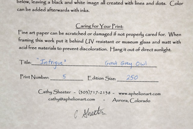 "Intrique" Limited Edition Giclee Print After Cathy Sheeter