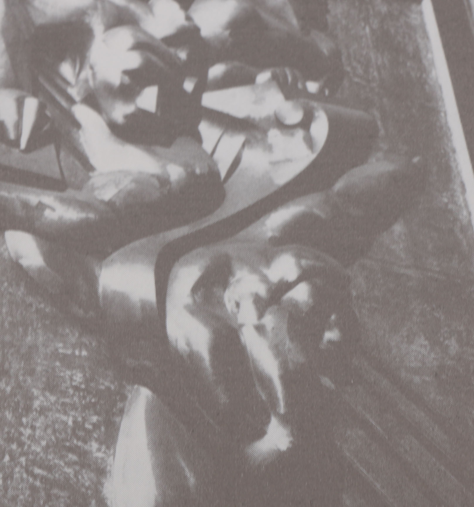 Six Books on American Artists