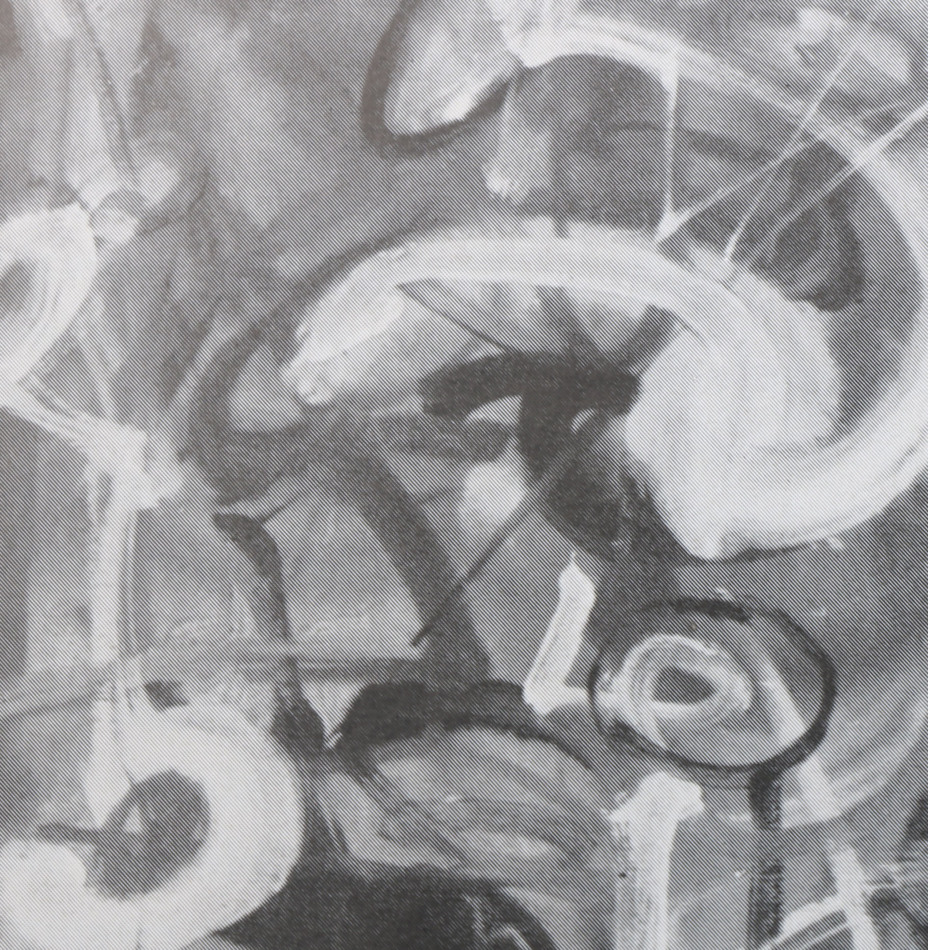 Six Books on American Artists