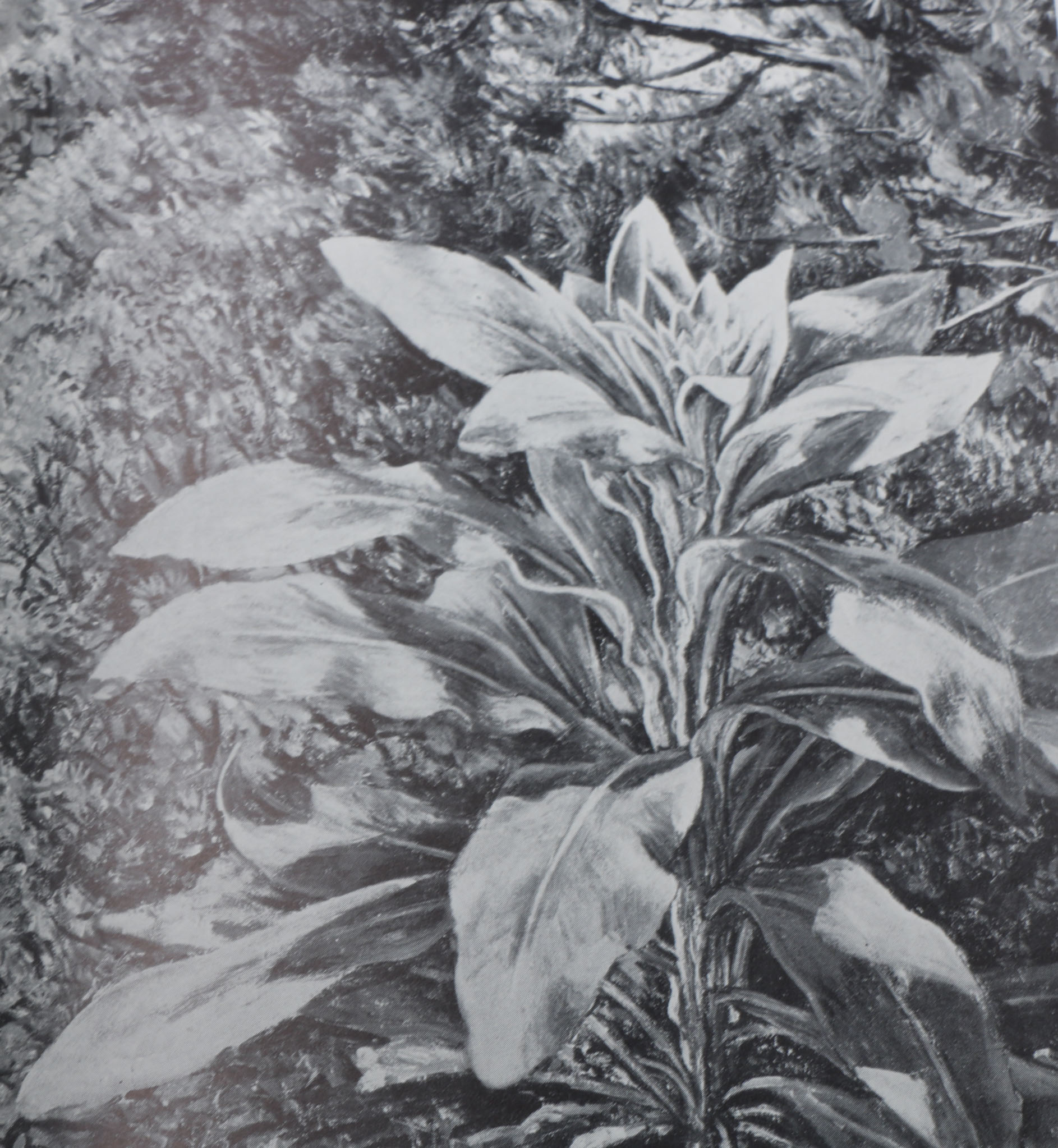 Six Books on American Artists