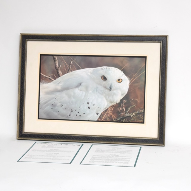 "Amber Gaze - Snowy Owl" Limited Edition Offset Lithograph After Carl Brenders