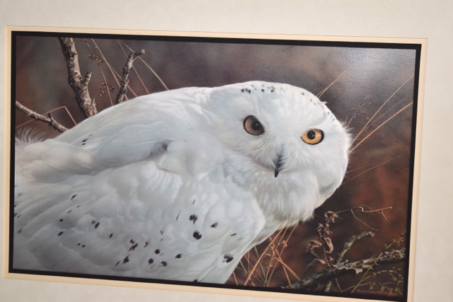 "Amber Gaze - Snowy Owl" Limited Edition Offset Lithograph After Carl Brenders
