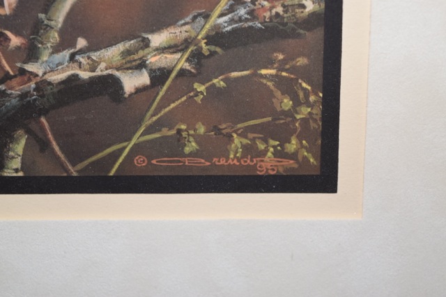 "Amber Gaze - Snowy Owl" Limited Edition Offset Lithograph After Carl Brenders