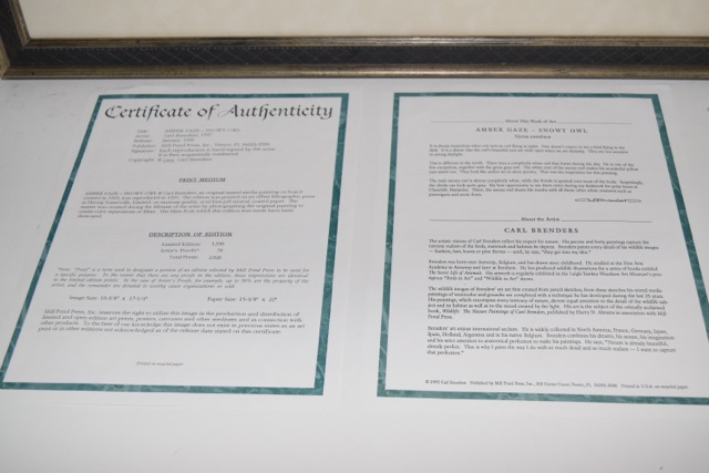 "Amber Gaze - Snowy Owl" Limited Edition Offset Lithograph After Carl Brenders