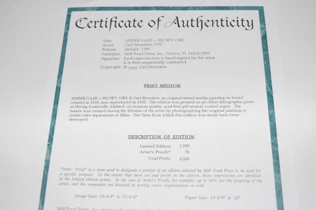 "Amber Gaze - Snowy Owl" Limited Edition Offset Lithograph After Carl Brenders