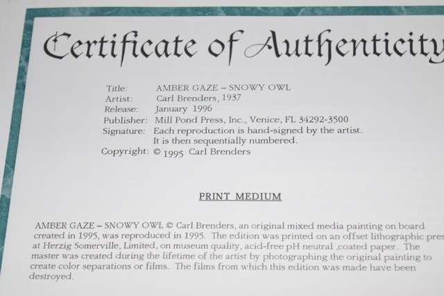 "Amber Gaze - Snowy Owl" Limited Edition Offset Lithograph After Carl Brenders