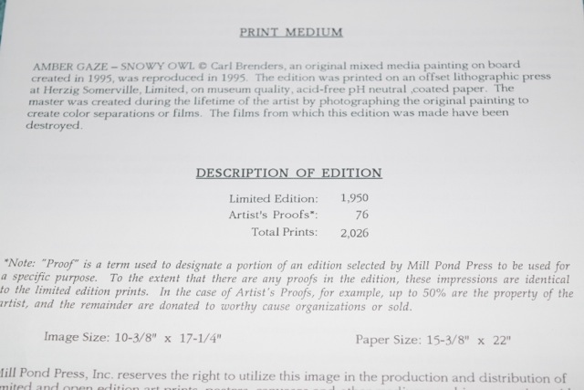 "Amber Gaze - Snowy Owl" Limited Edition Offset Lithograph After Carl Brenders