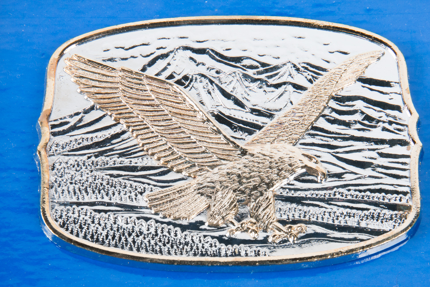 Assortment of Men's Belt Buckles