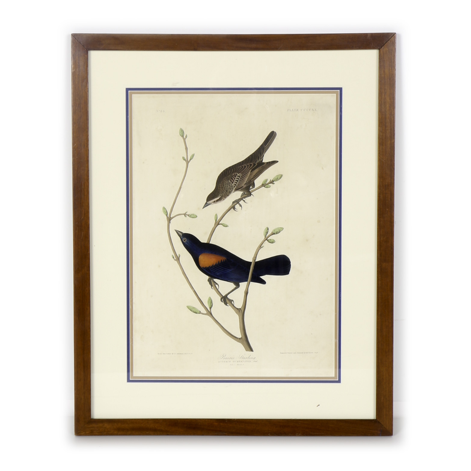 Radio Flyer Rodeo Wagon