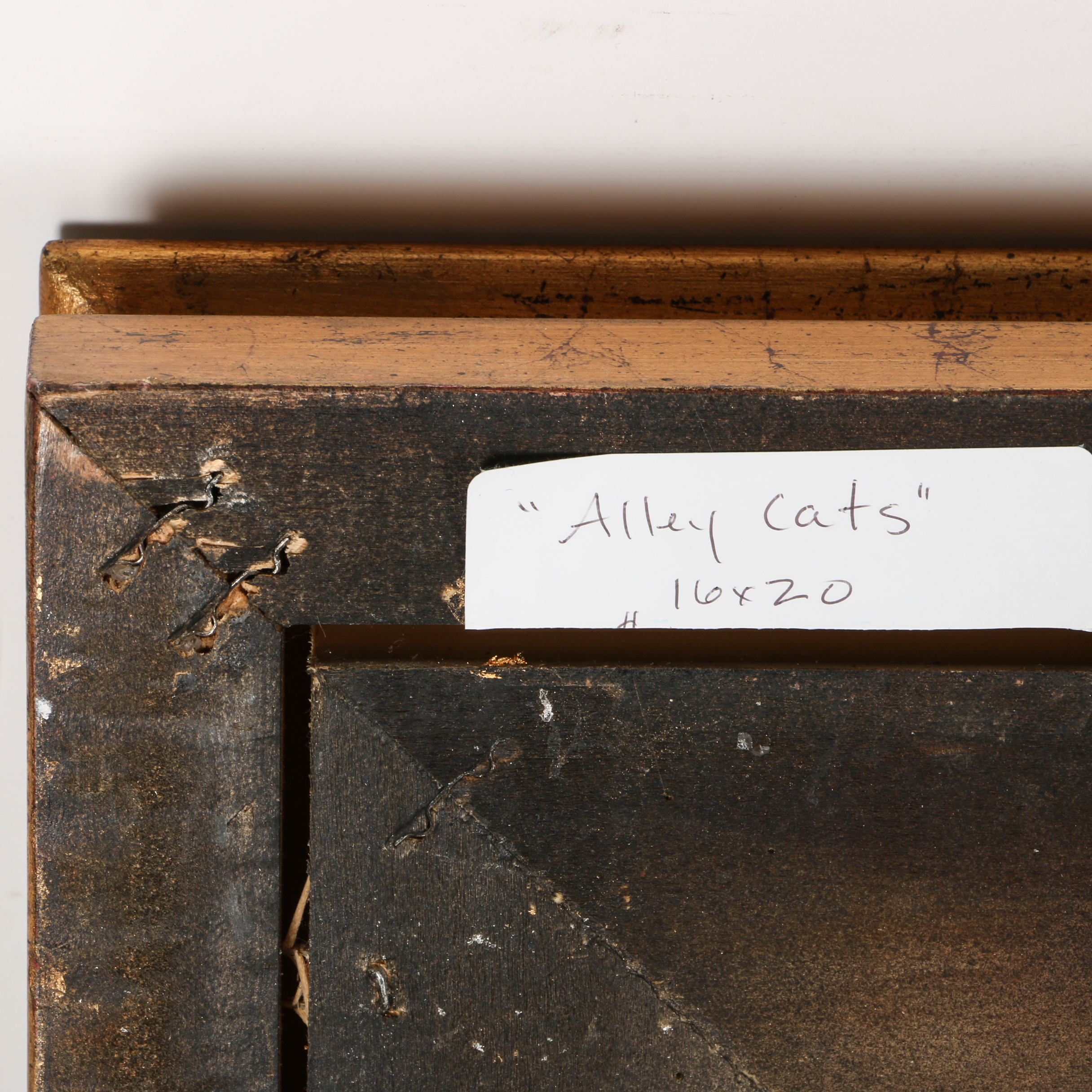 Anne Blair Brown Oil on Canvas "Alley Cats"