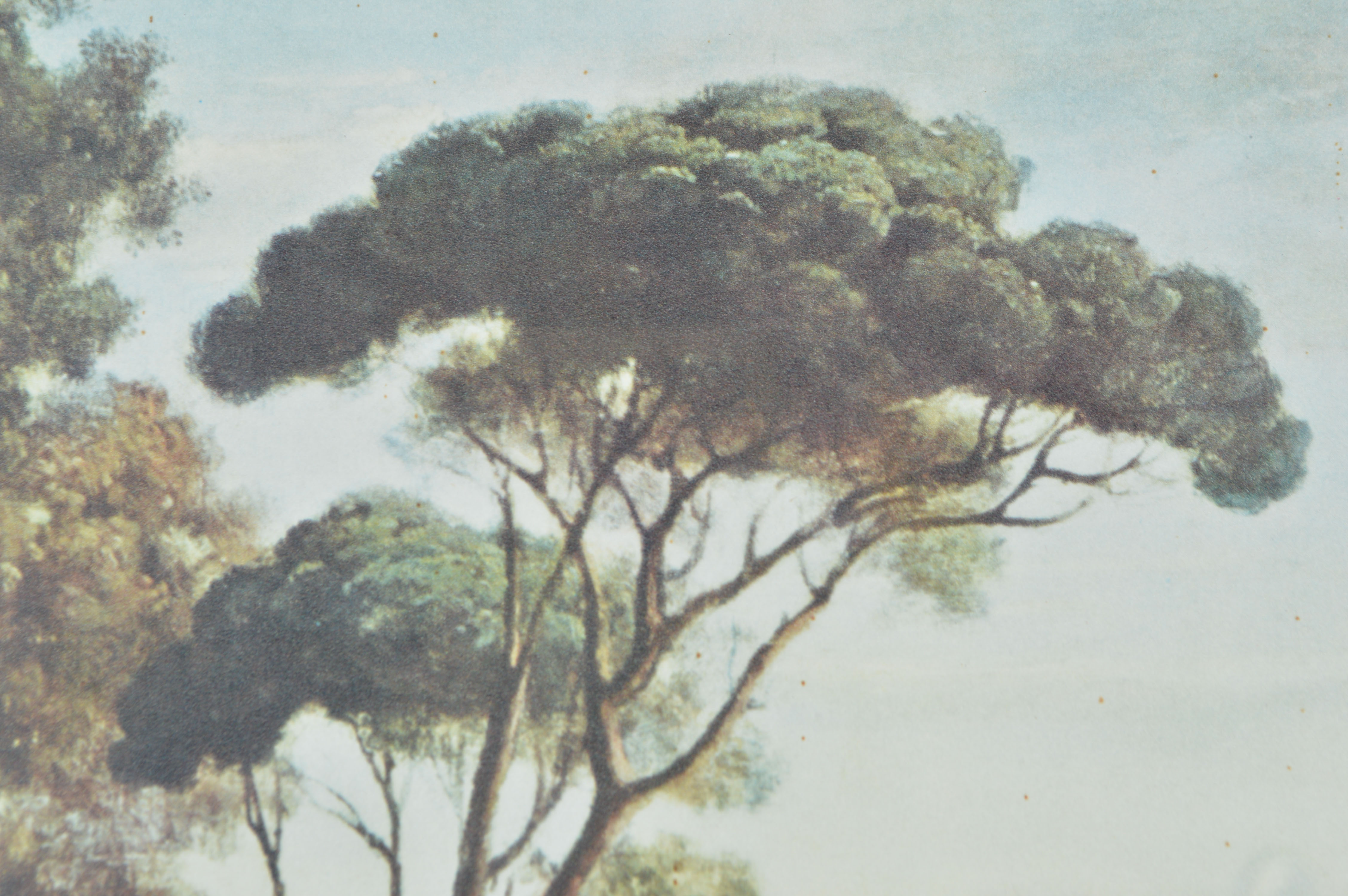 Framed Offset Lithograph of a Landscape after the Manner of Claude Lorrain