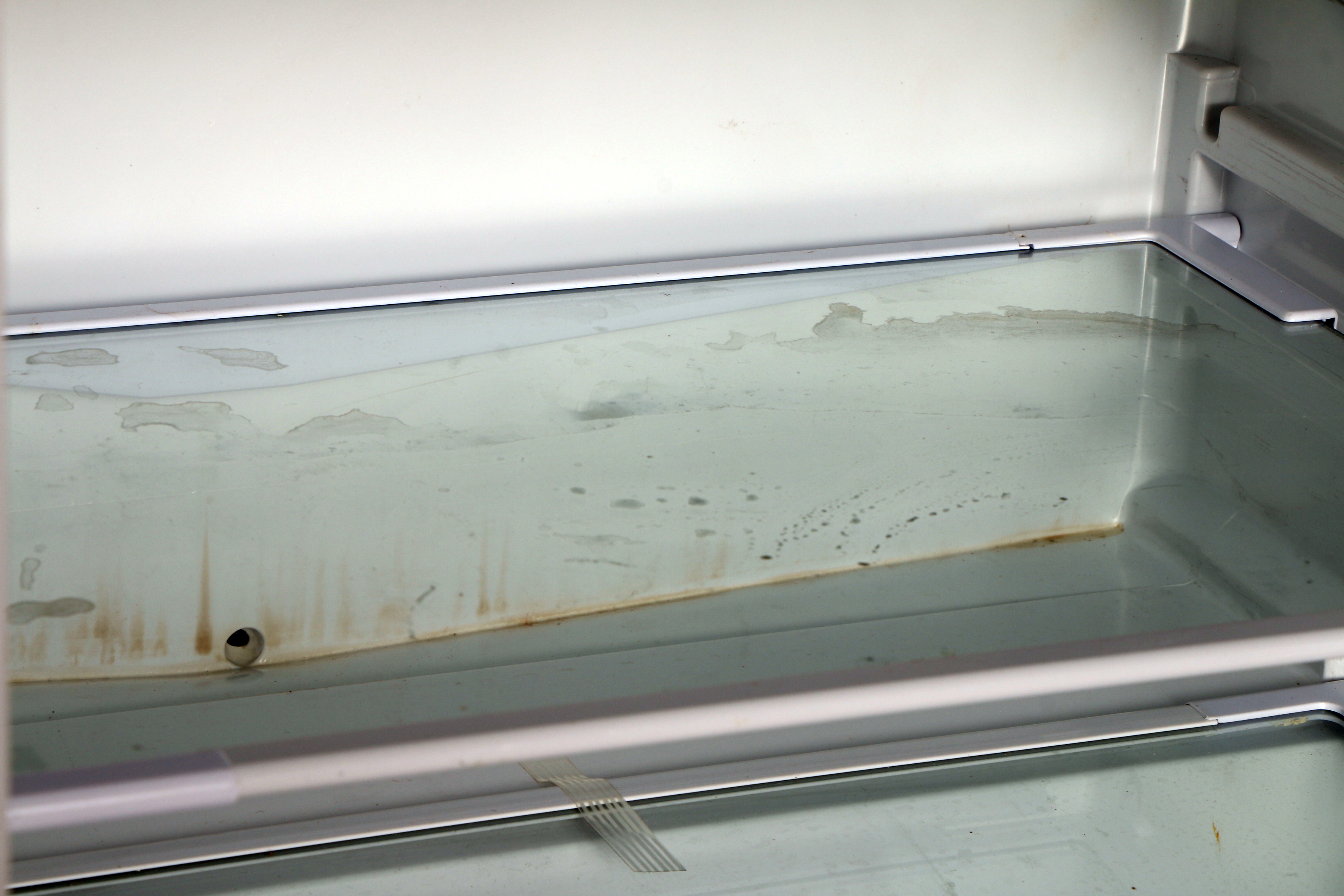 Haier Miniature Fridge