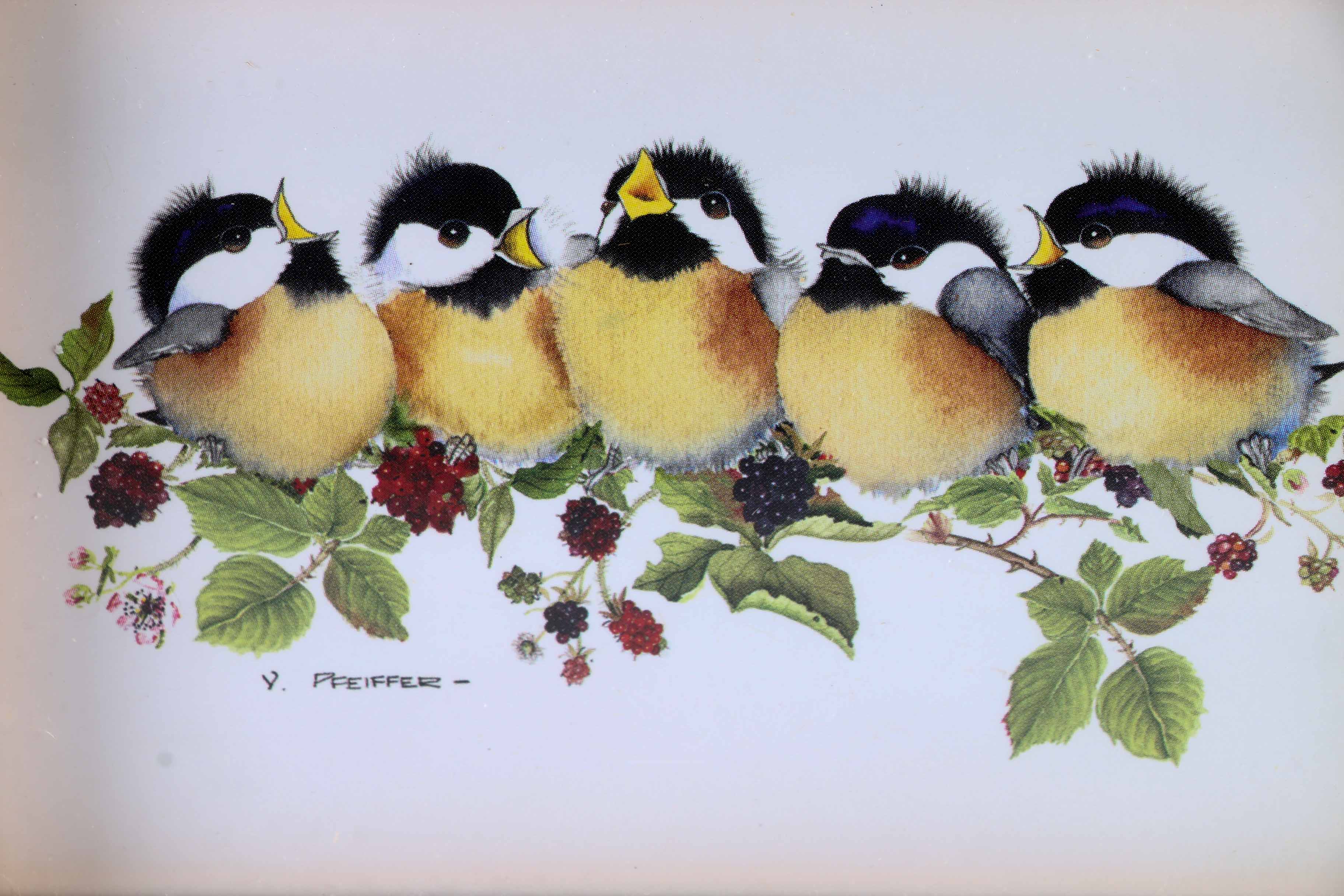Valerie Pfeiffer Offset Lithographs of Chickadee Fledglings