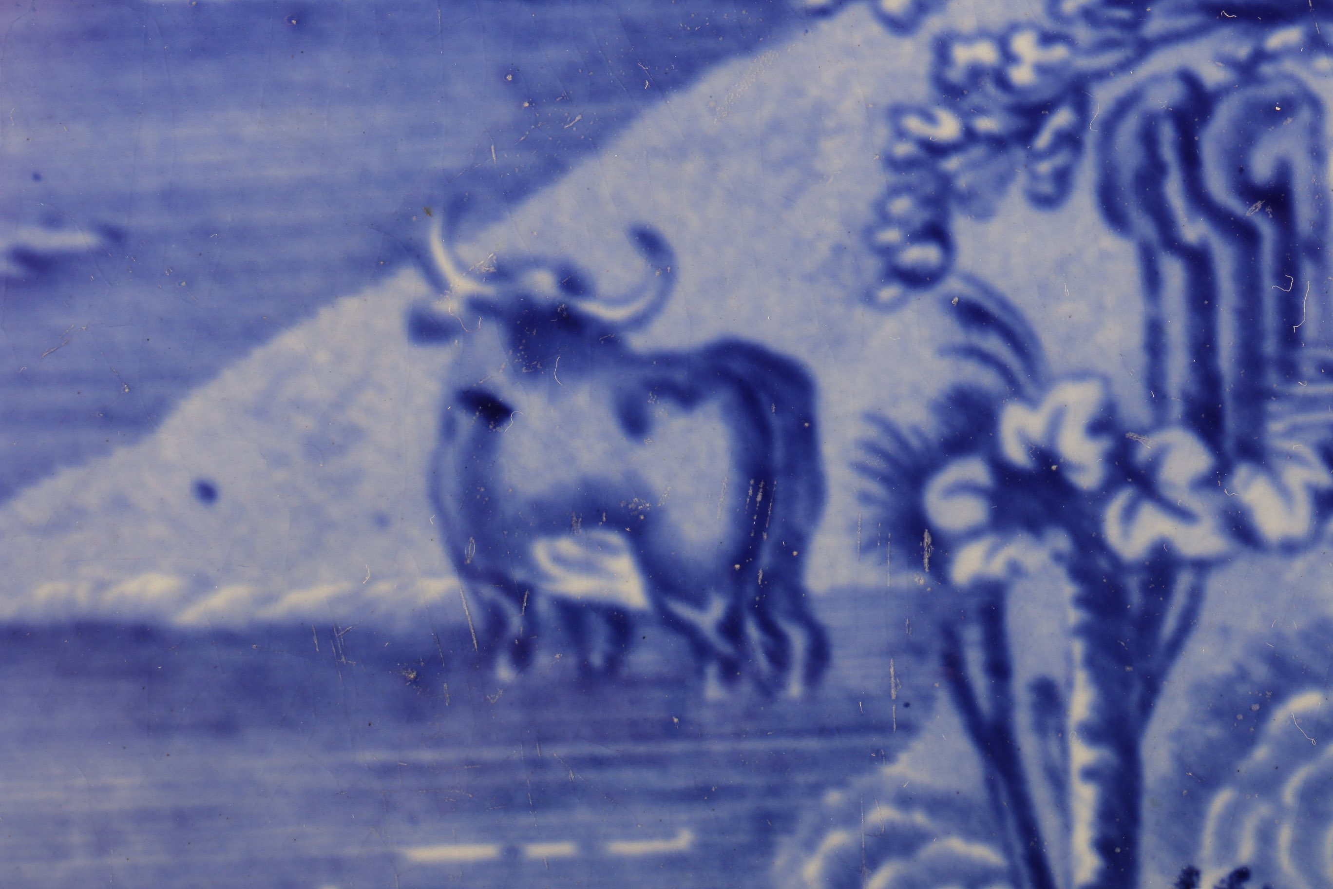 Royal Bonn Display Platter