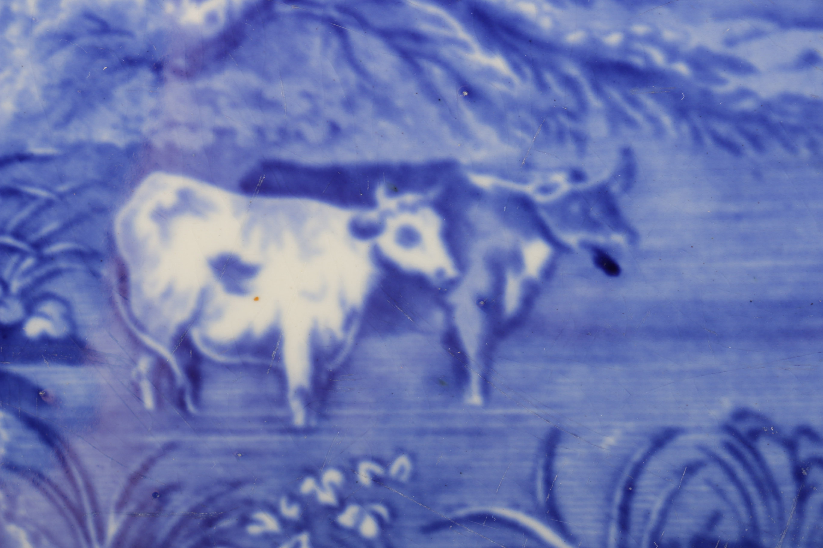 Royal Bonn Display Platter