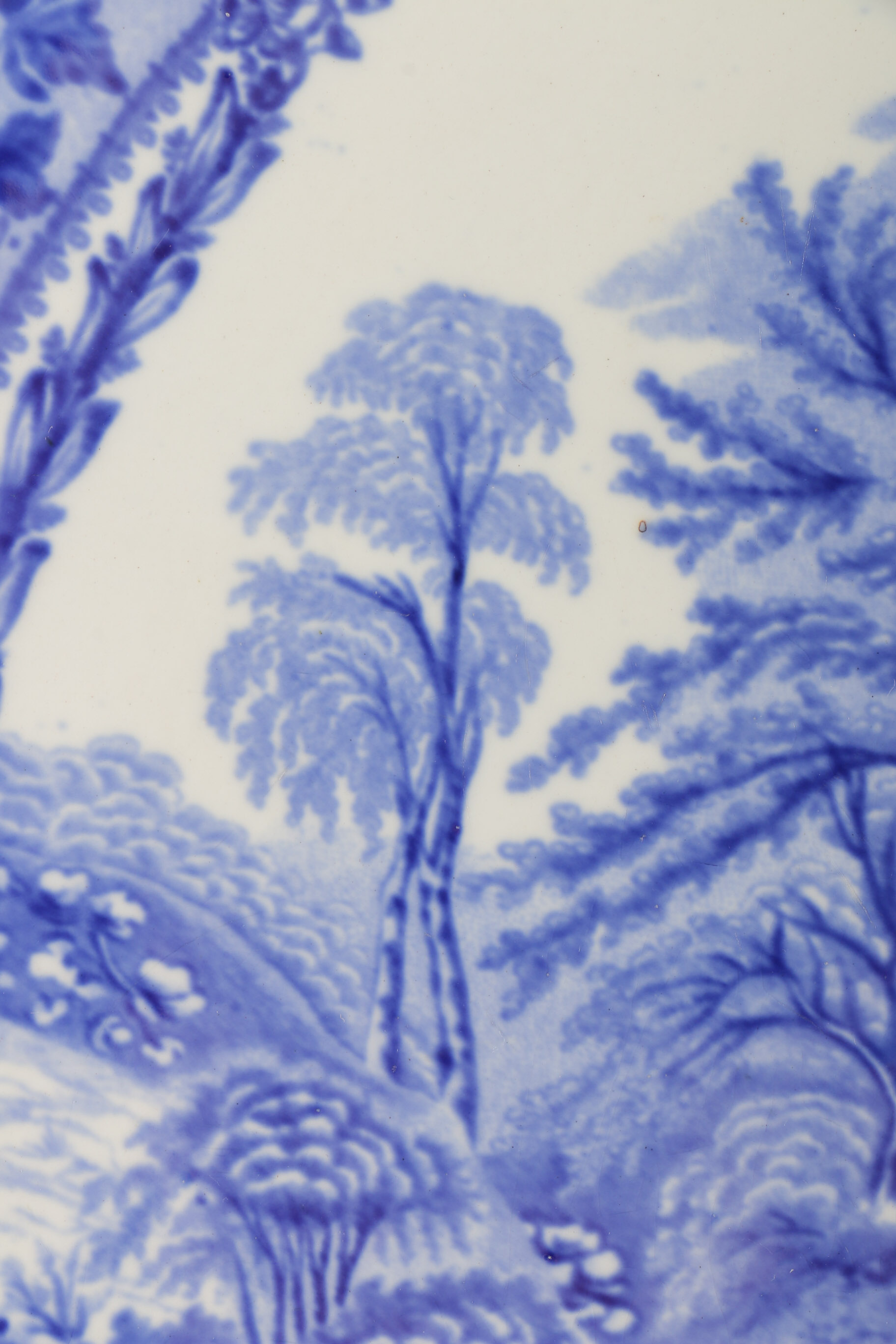 Royal Bonn Display Platter