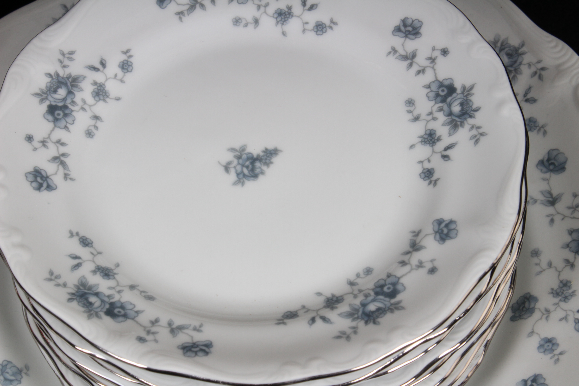 Johann Haviland "Blue Garland" China