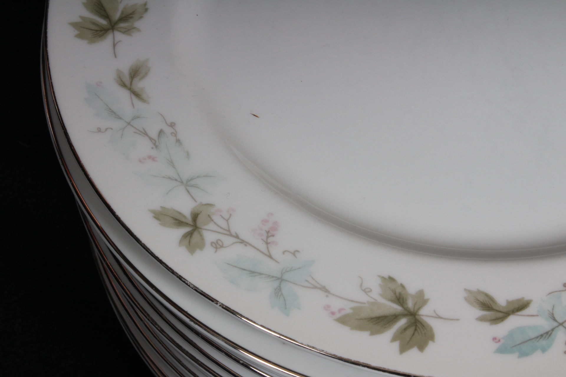 Fine China of Japan "Vintage" China