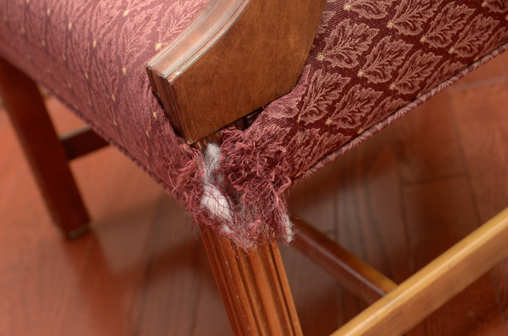 Upholstered Armchair with Wood Frame