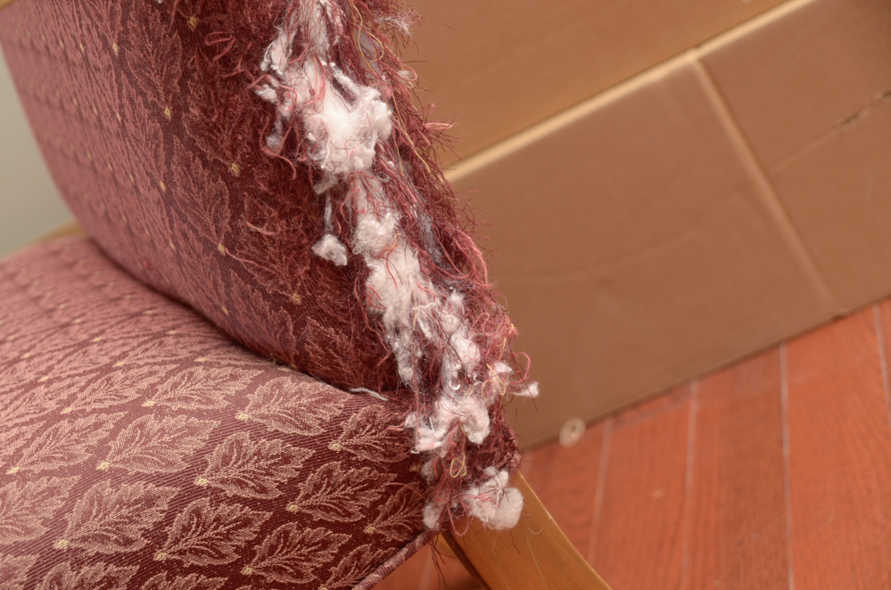 Upholstered Armchair with Wood Frame