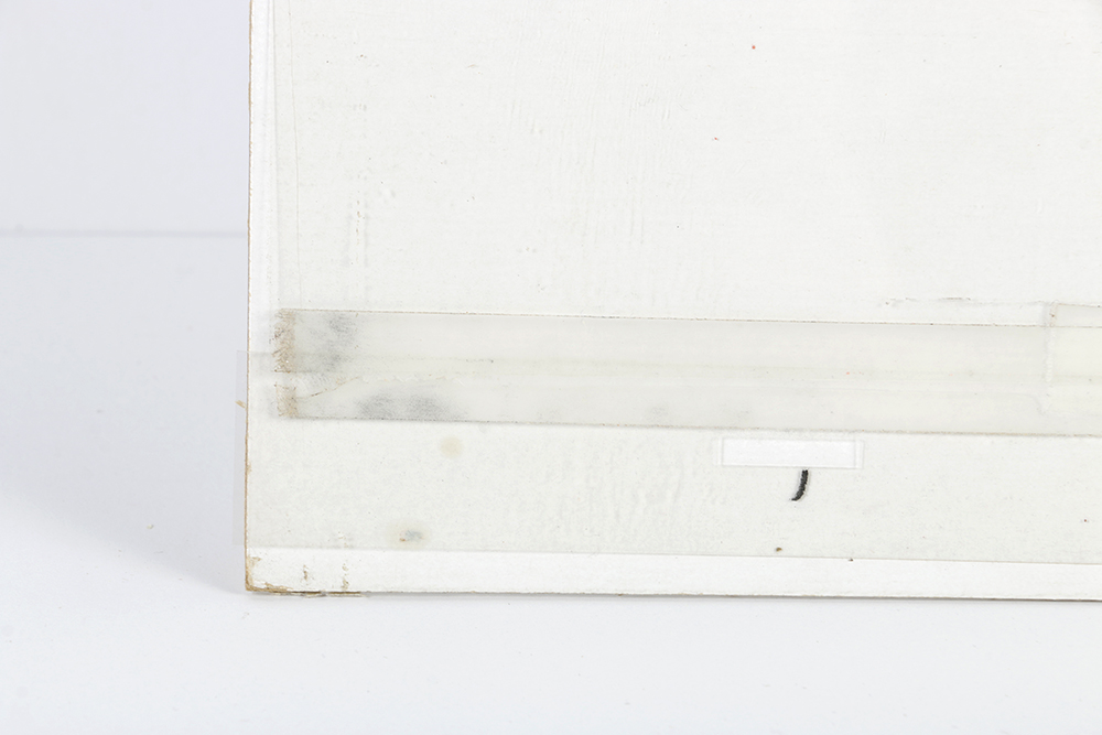 Original Animation Cel of "Ewoks" Animated Series