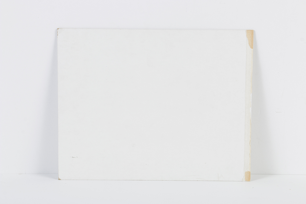 Original Animation Cel of "Ewoks" Animated Series