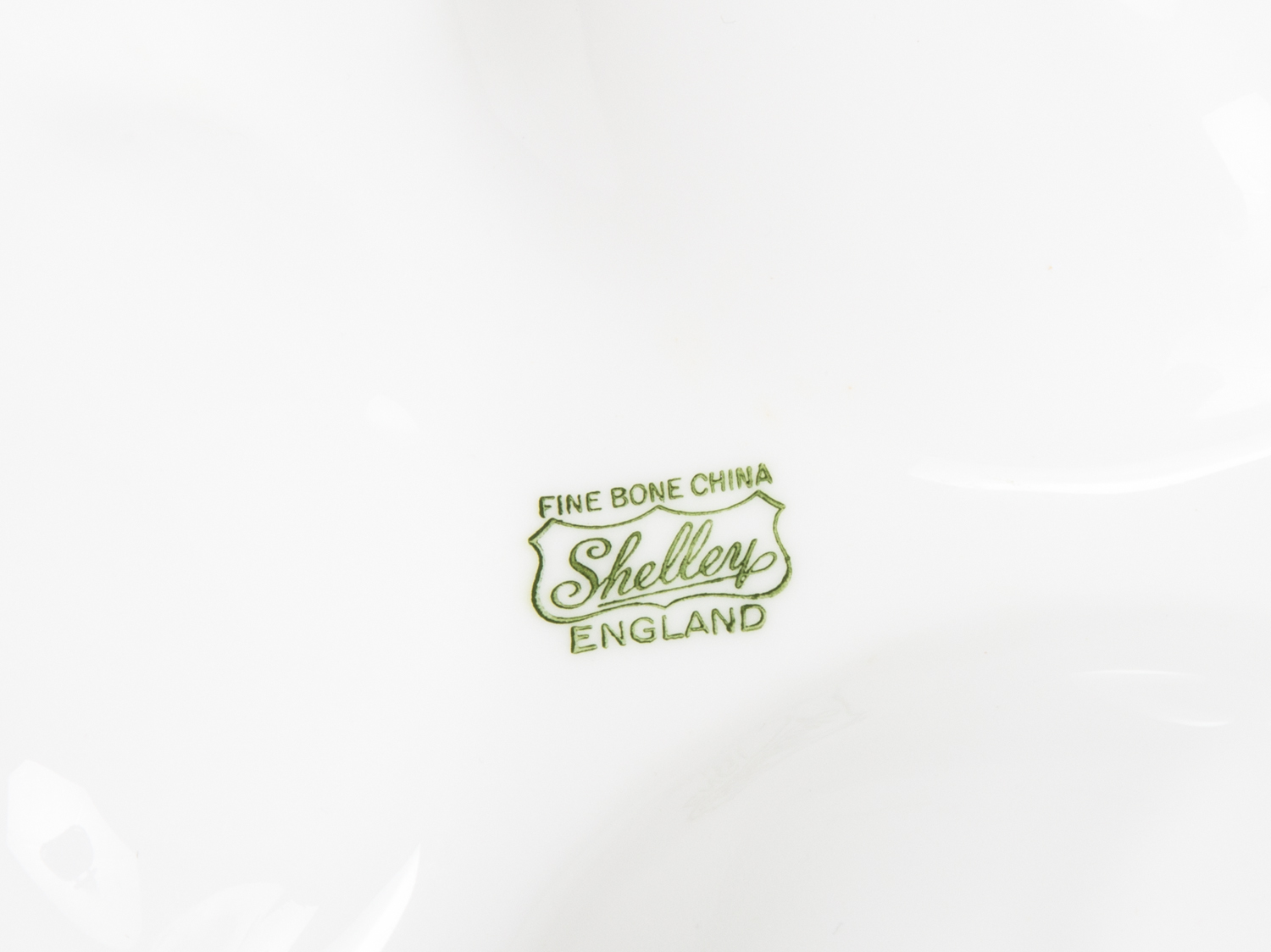 Shelly Bone China Serveware