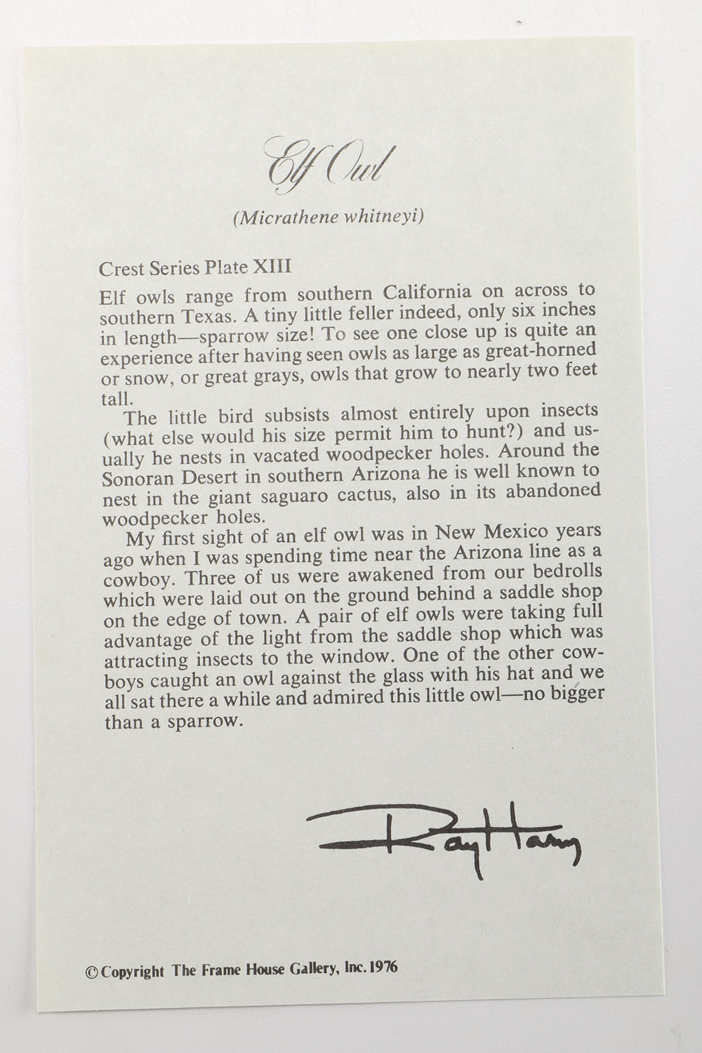 1970s Ray Harm and Manabu Saito Offset Lithographs